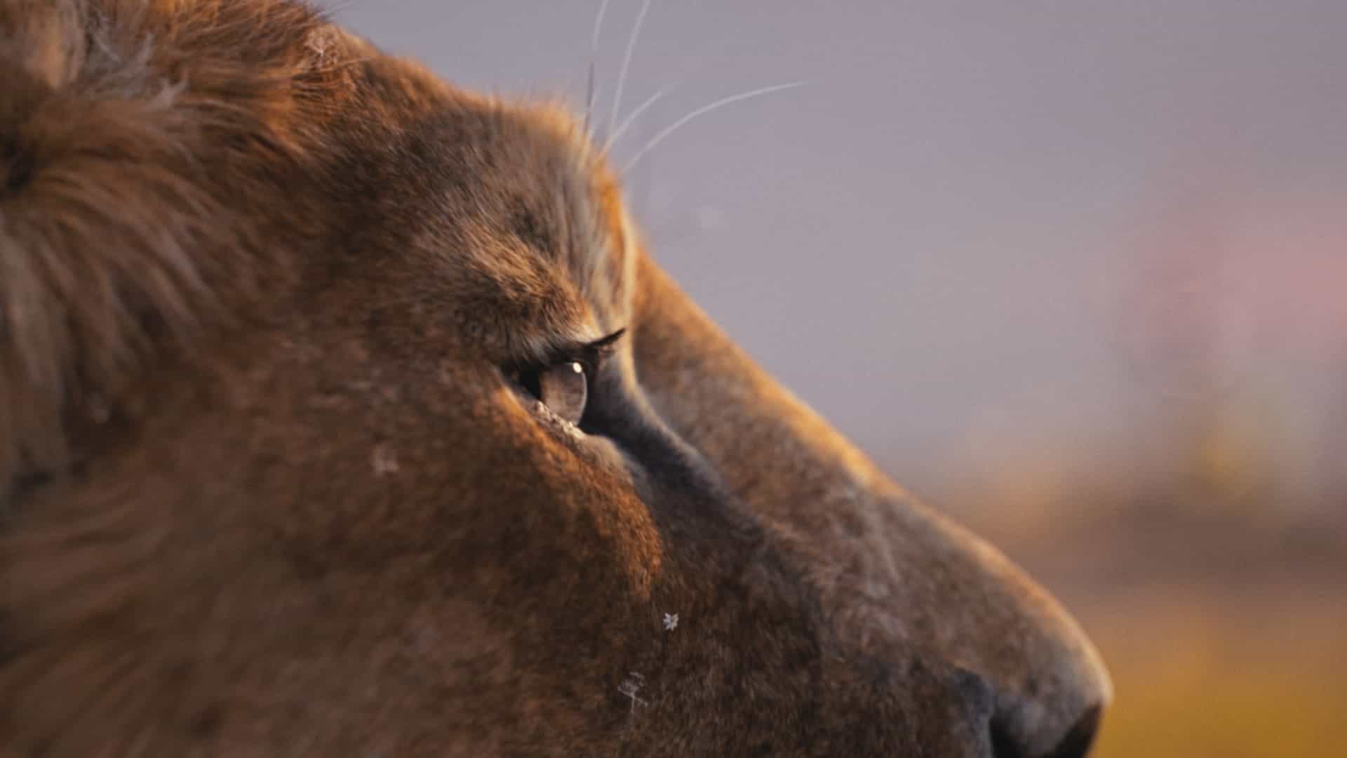 Mufasa: O Rei Leão